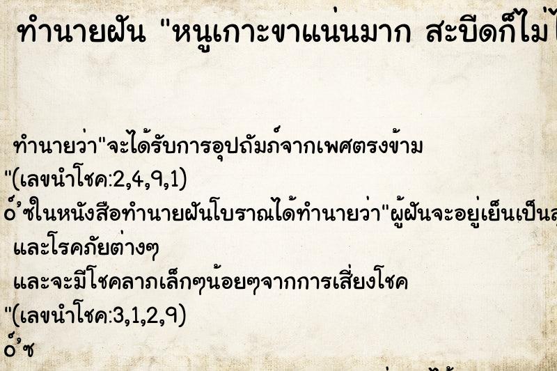 ทำนายฝันหนูเกาะขาแน่นมากสะบีดก็ไม่ไป ทำนายฝันทำนายฝันหนูเกาะขาแน่นมากสะบีดก็ไม่ไป